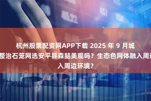 杭州股票配资网APP下载 2025 年 9 月城市河道整治石笼网选安平县森喆美观吗？生态色网体融入周边环境？
