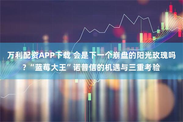 万利配资APP下载 会是下一个崩盘的阳光玫瑰吗? “蓝莓大王”诺普信的机遇与三重考验