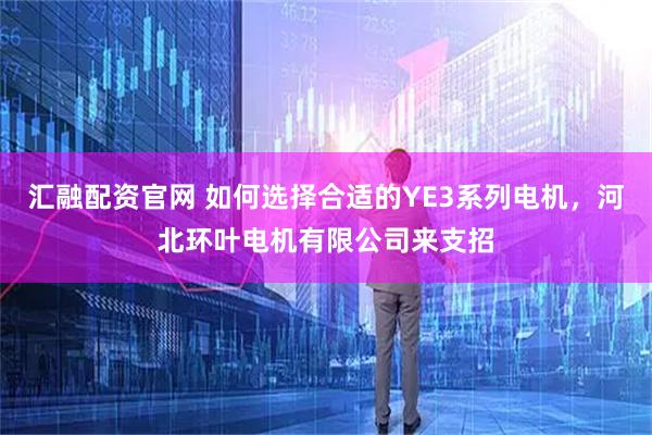 汇融配资官网 如何选择合适的YE3系列电机，河北环叶电机有限公司来支招