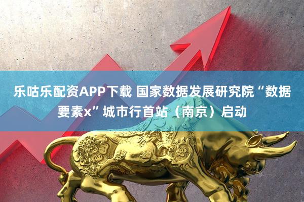 乐咕乐配资APP下载 国家数据发展研究院“数据要素x”城市行首站（南京）启动